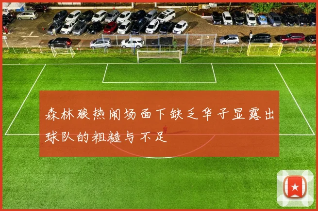 森林狼热闹场面下缺乏华子显露出球队的粗糙与不足